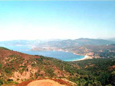 gofo_di_ajaccio