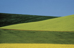 Franco Fontana