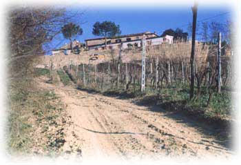 Azianda Agricola Il Poggio