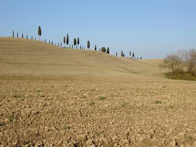 Montaione colline