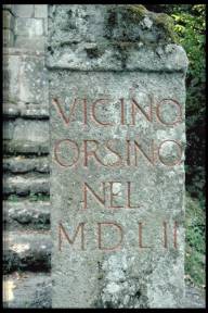 Vicino Orsini