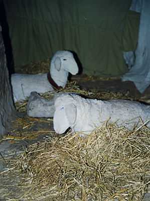 presepe_orvieto-21