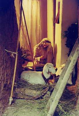 presepe_orvieto-29