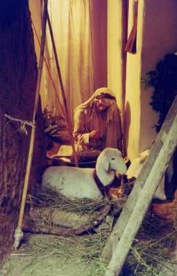 presepe_orvieto-38