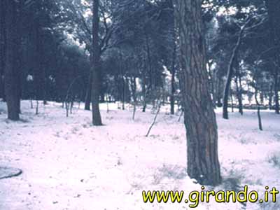 follonica_neve-04